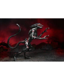 Aliens Action Figur Night Cougar Alien 23cm -Halo Verkäufe aliens actieon figur night cougar alien aliens merchandise aliens fanartikel aliens actionfigur 52565 04