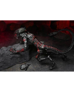 Aliens Action Figur Night Cougar Alien 23cm -Halo Verkäufe aliens actieon figur night cougar alien aliens merchandise aliens fanartikel aliens actionfigur 52565 05