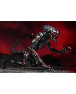 Aliens Action Figur Night Cougar Alien 23cm -Halo Verkäufe aliens actieon figur night cougar alien aliens merchandise aliens fanartikel aliens actionfigur 52565 06