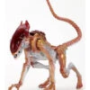 Aliens Action Figur Panther Alien 22cm 2 Aliens Action Figur Panther Alien 22cm -Halo Verkäufe aliens action figur panther alien aliens merchandise aliens fanartikel aliens actionfigur 52566 01