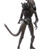 Aliens - Brown Alien Warrior Actionfigur -Halo Verkäufe aliens brown alien warrior action figur halloween und horrorfilm geschenkartikel 52863