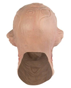 Freddy Maske Blutrausch -Halo Verkäufe freddy krueger maske blutrausch nightmare on elm street merchandise horrorfilm freddy schaumlatexmaske 14272 3