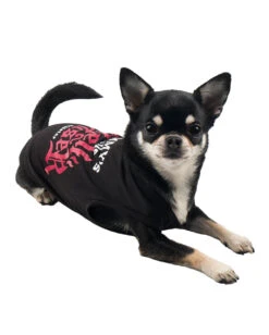 KILLSTAR Mommy's Hellraiser Hundeweste -Halo Verkäufe killstar mommys hellraiser hundeveste killstar mommys hellraiser hundekostuem killstar fashion 52133 03