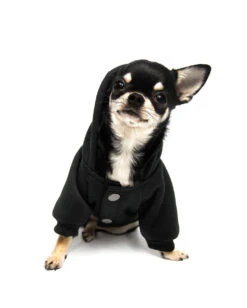 KILLSTAR Witch Mom Hund & Katze Hoodie -Halo Verkäufe killstar witch mom hund und katzen hoodie killstar clothing for pets gothic und alternative shop 51592 2