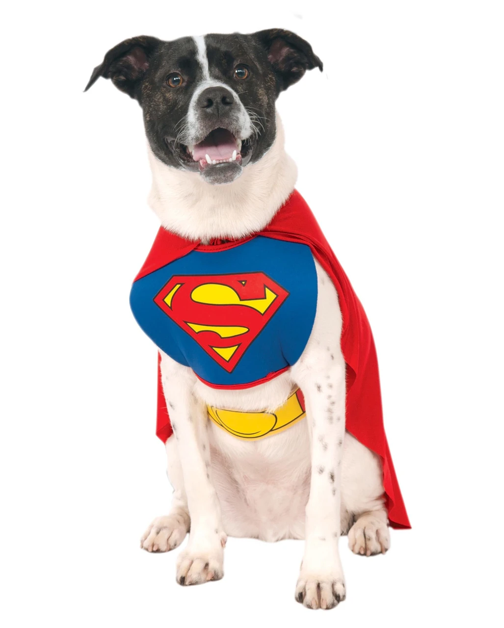 Superman Hundekostüm L 3 Superman Hundekostüm L