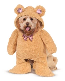 Teddy Bär Hundekostüm
