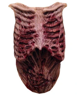 The Walking Dead Zombie Brustkasten